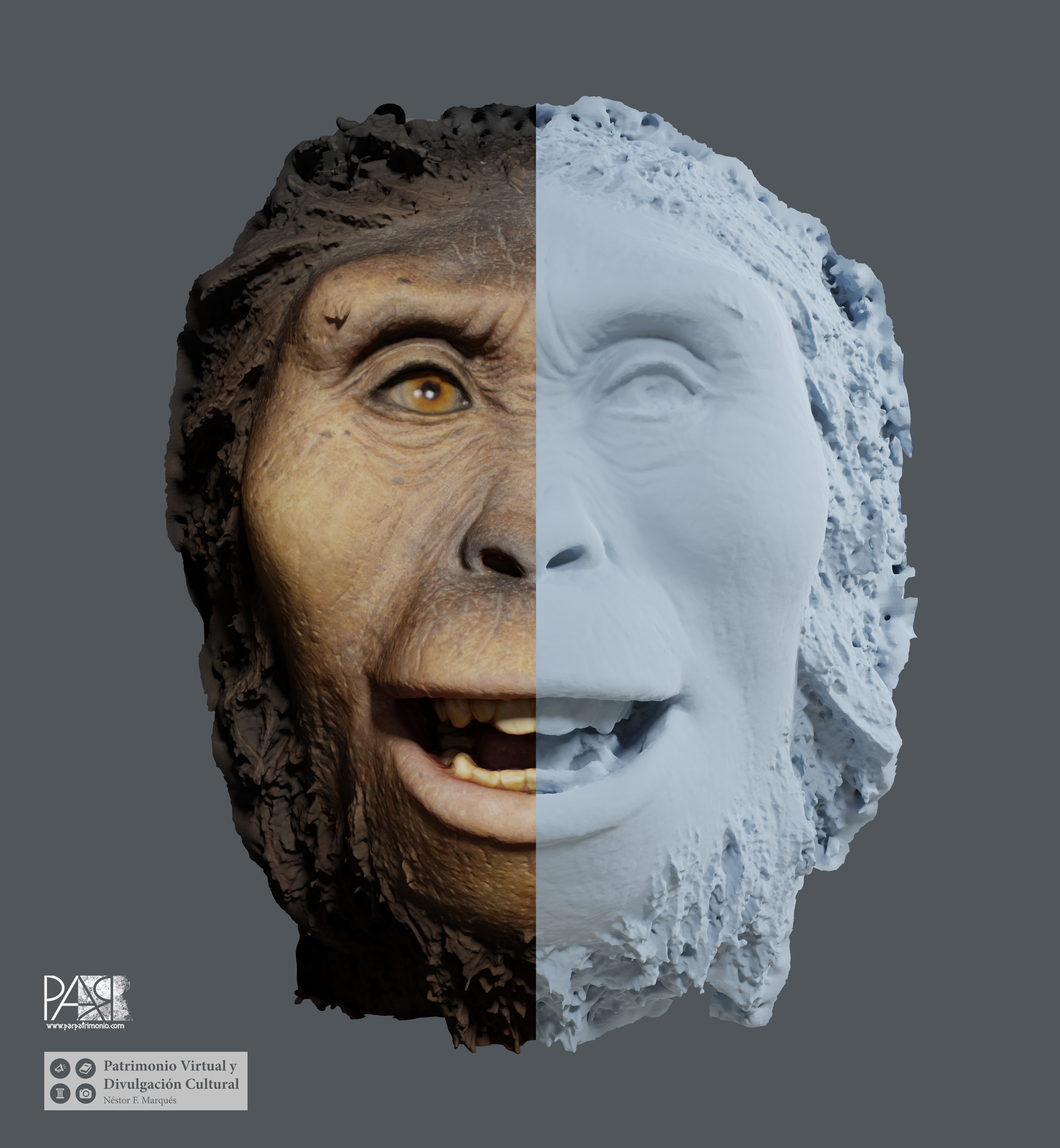 1_aus_afarensis_render_1