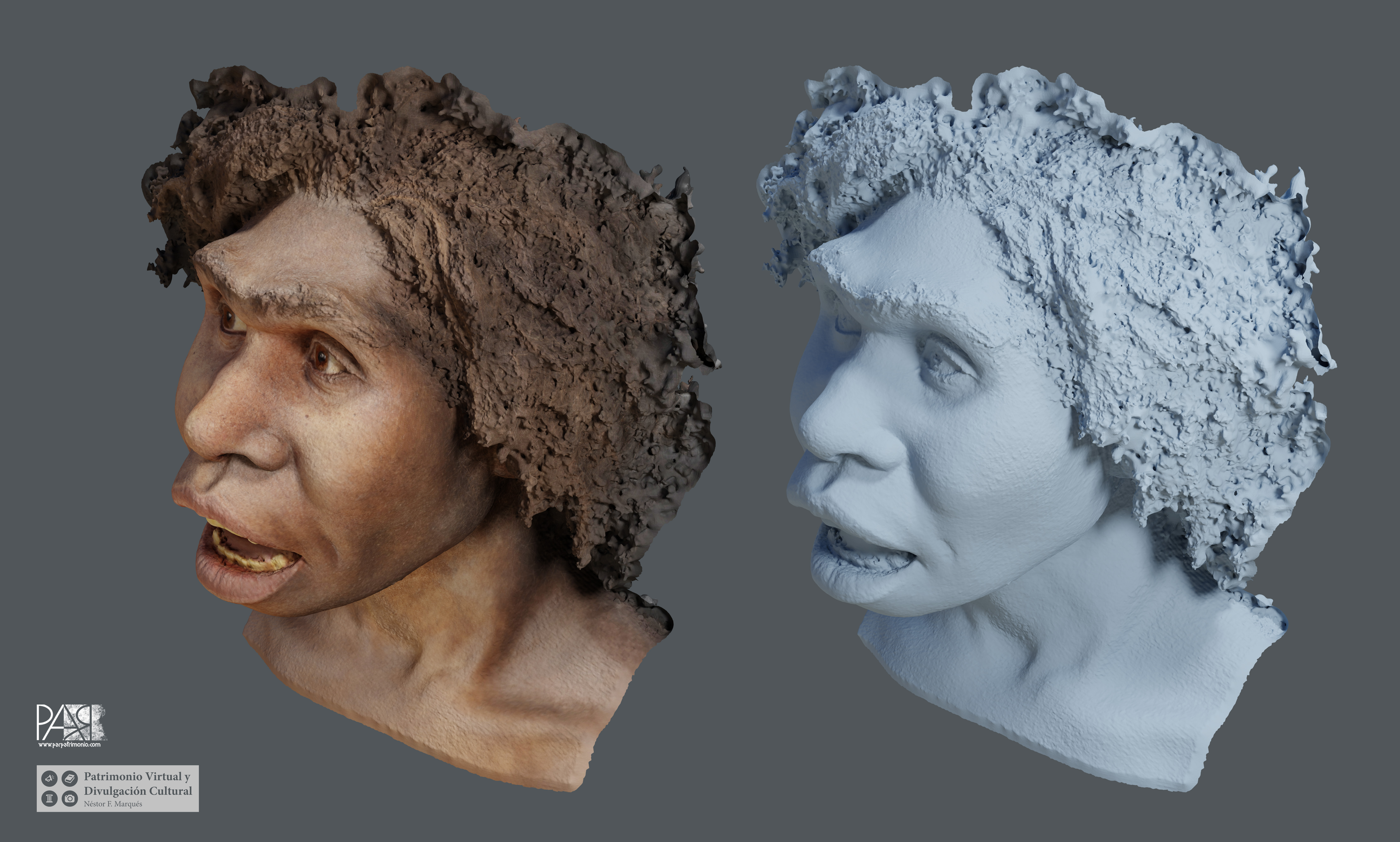 6_homo_ergaster_render_2